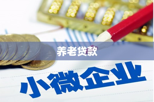 舞阳养老贷款