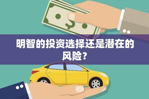 舞阳明智的投资选择还是潜在的风险？