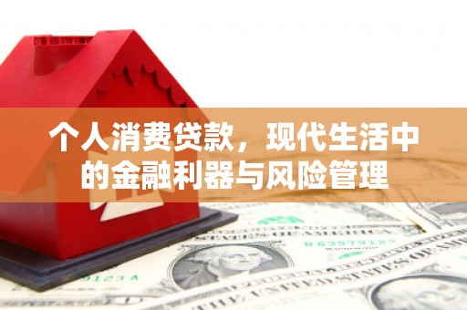 舞阳个人消费贷款，现代生活中的金融利器与风险管理