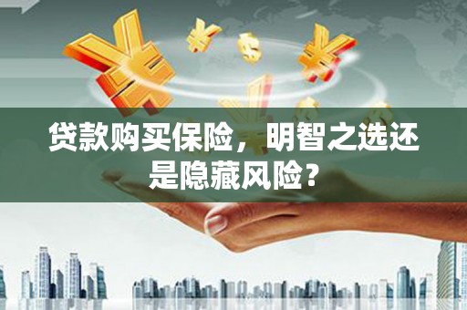 舞阳贷款购买保险，明智之选还是隐藏风险？
