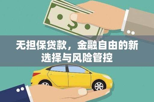 舞阳无担保贷款，金融自由的新选择与风险管控