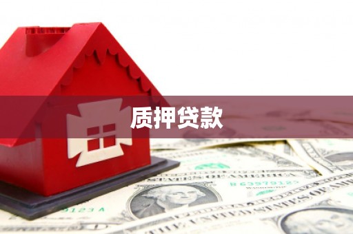舞阳质押贷款