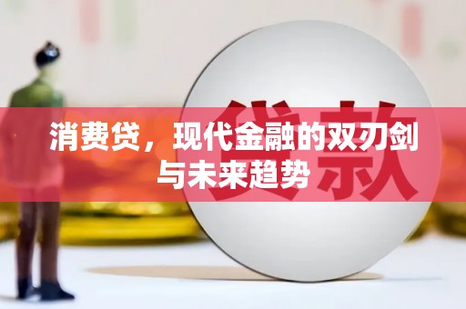 舞阳消费贷，现代金融的双刃剑与未来趋势
