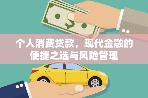 舞阳个人消费贷款，现代金融的便捷之选与风险管理