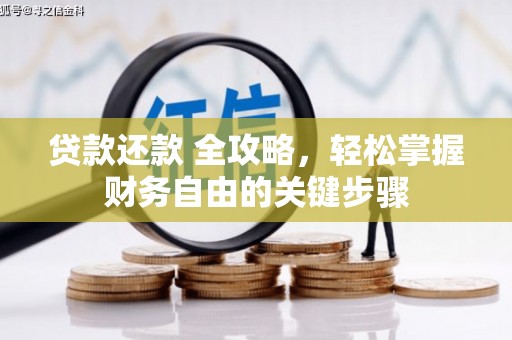 舞阳贷款还款 全攻略，轻松掌握财务自由的关键步骤