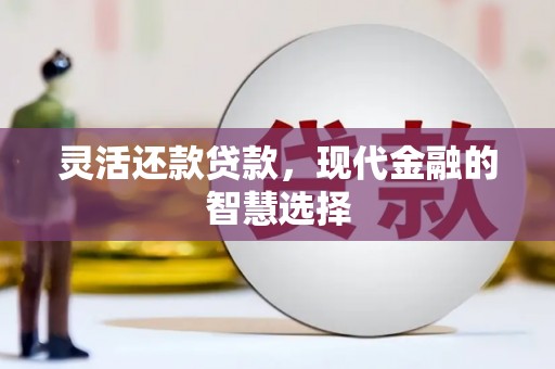 舞阳灵活还款贷款，现代金融的智慧选择