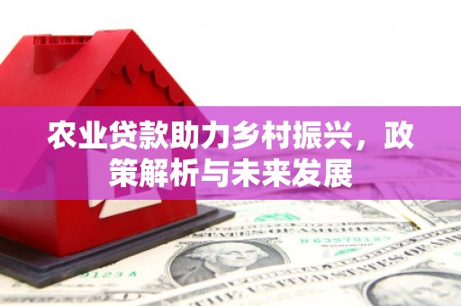 舞阳农业贷款助力乡村振兴，政策解析与未来发展