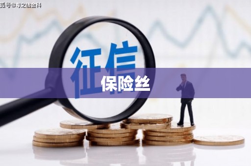 舞阳保险丝