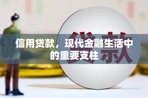 舞阳信用贷款，现代金融生活中的重要支柱