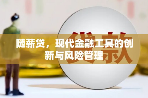 舞阳随薪贷，现代金融工具的创新与风险管理