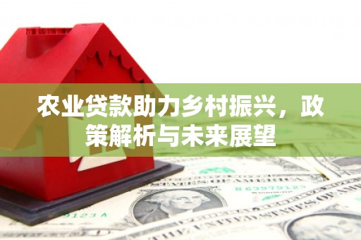 舞阳农业贷款助力乡村振兴，政策解析与未来展望