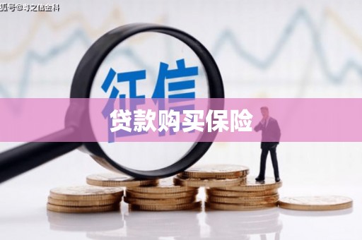 舞阳贷款购买保险