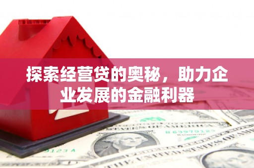 舞阳探索经营贷的奥秘，助力企业发展的金融利器