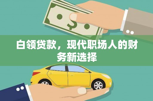 舞阳白领贷款，现代职场人的财务新选择