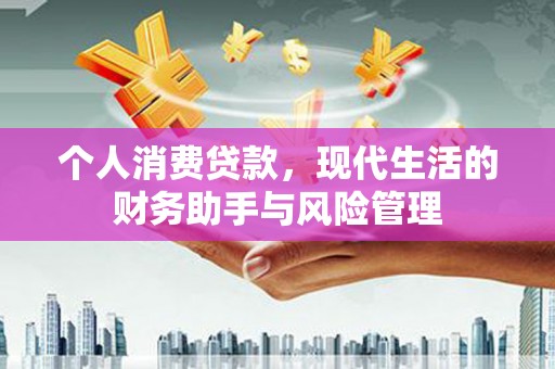 舞阳个人消费贷款，现代生活的财务助手与风险管理