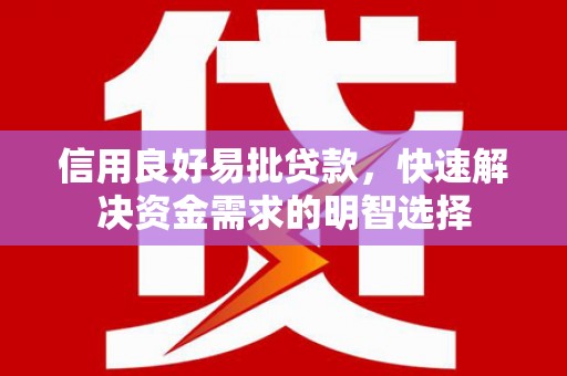 舞阳信用良好易批贷款，快速解决资金需求的明智选择