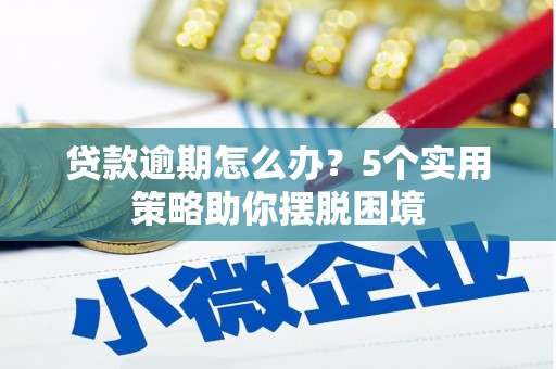 舞阳贷款逾期怎么办？5个实用策略助你摆脱困境