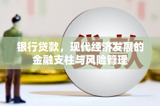舞阳银行贷款，现代经济发展的金融支柱与风险管理