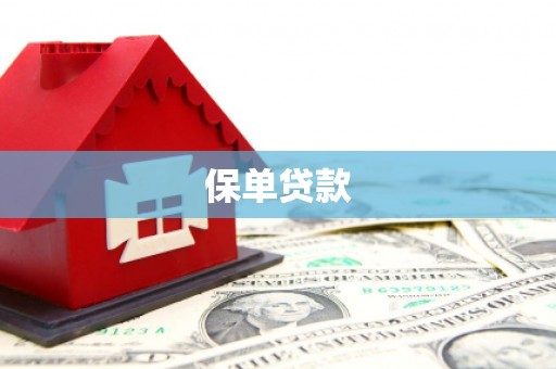 舞阳保单贷款