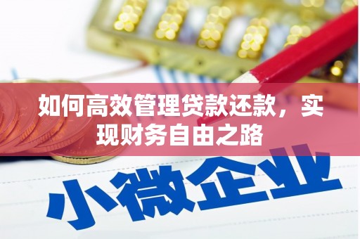 舞阳如何高效管理贷款还款，实现财务自由之路