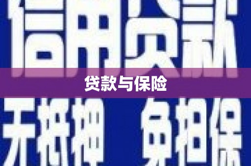 舞阳贷款与保险