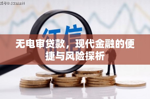 舞阳无电审贷款，现代金融的便捷与风险探析