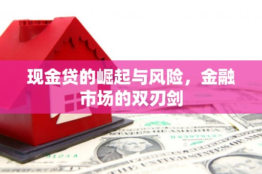 舞阳现金贷的崛起与风险，金融市场的双刃剑