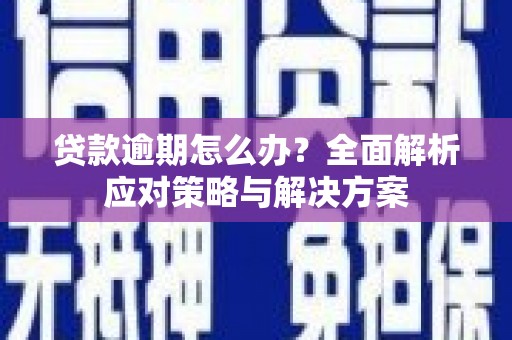 舞阳贷款逾期怎么办？全面解析应对策略与解决方案