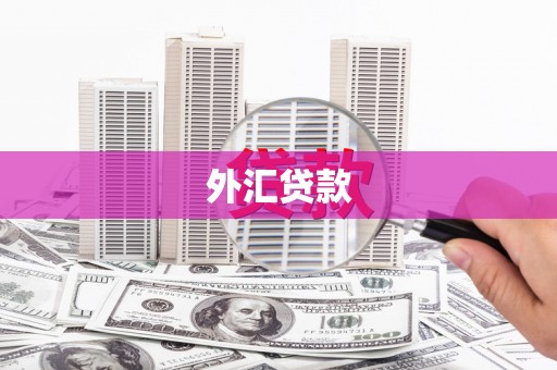 舞阳外汇贷款