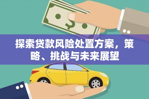 舞阳探索贷款风险处置方案，策略、挑战与未来展望