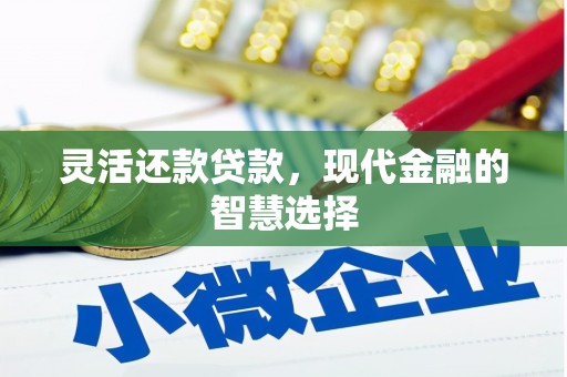 舞阳灵活还款贷款，现代金融的智慧选择