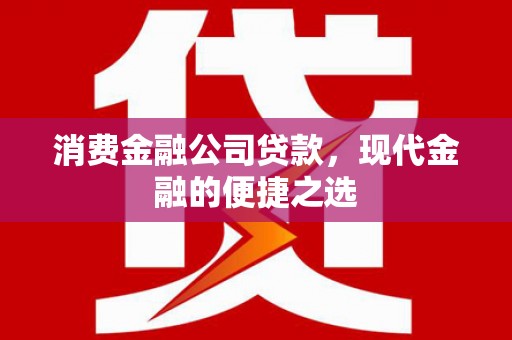 舞阳消费金融公司贷款，现代金融的便捷之选