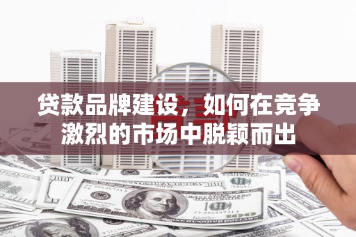 舞阳贷款品牌建设，如何在竞争激烈的市场中脱颖而出