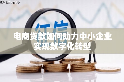 舞阳电商贷款如何助力中小企业实现数字化转型
