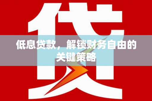 舞阳低息贷款，解锁财务自由的关键策略