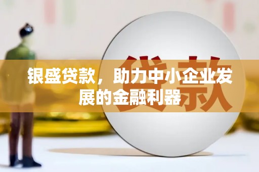 舞阳银盛贷款，助力中小企业发展的金融利器