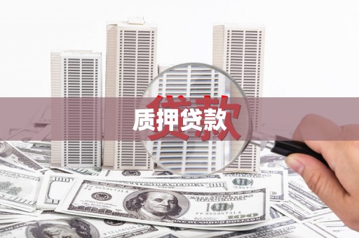 舞阳质押贷款