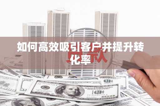 舞阳如何高效吸引客户并提升转化率