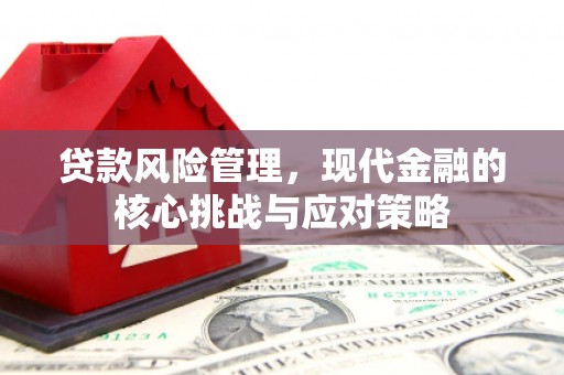 舞阳贷款风险管理，现代金融的核心挑战与应对策略