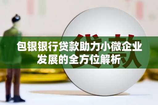 舞阳包银银行贷款助力小微企业发展的全方位解析