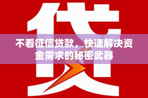 舞阳不看征信贷款，快速解决资金需求的秘密武器