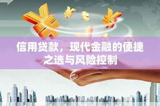 舞阳信用贷款，现代金融的便捷之选与风险控制