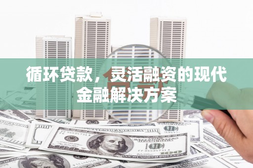 舞阳循环贷款，灵活融资的现代金融解决方案