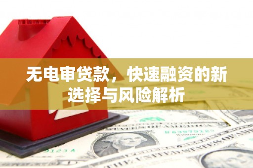 舞阳无电审贷款，快速融资的新选择与风险解析