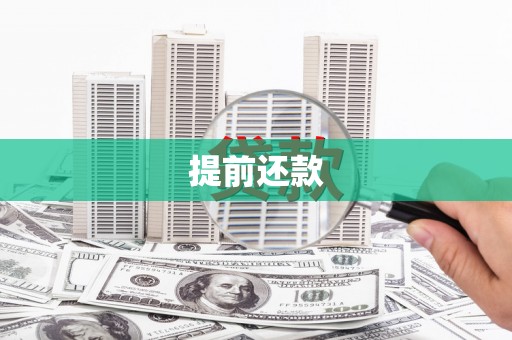 舞阳提前还款