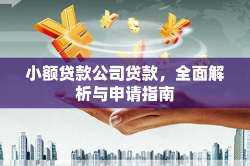 舞阳小额贷款公司贷款，全面解析与申请指南