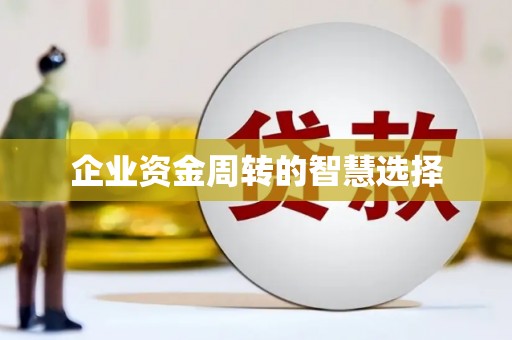舞阳企业资金周转的智慧选择