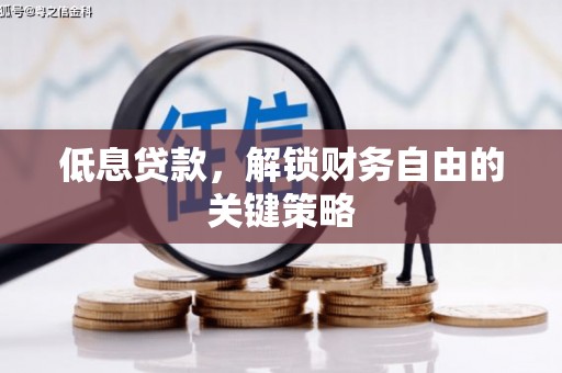 舞阳低息贷款，解锁财务自由的关键策略