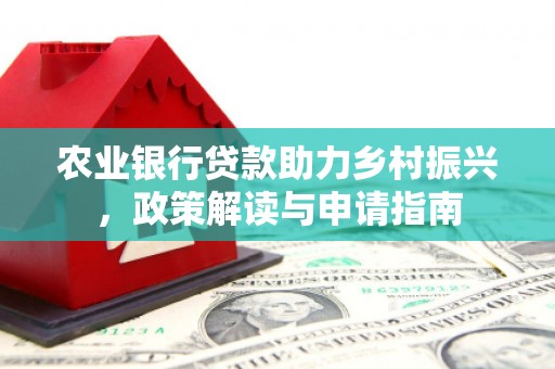 舞阳农业银行贷款助力乡村振兴，政策解读与申请指南