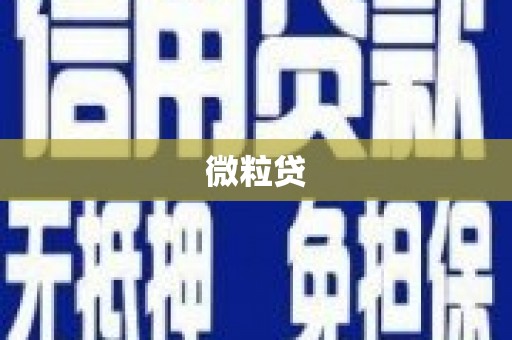 舞阳微粒贷